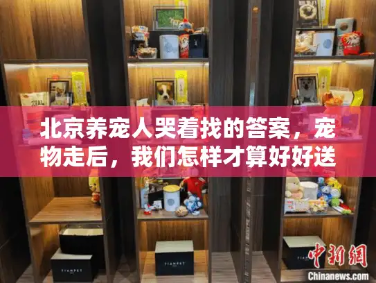 北京养宠人哭着找的答案，宠物走后，我们怎样才算好好送它一程？