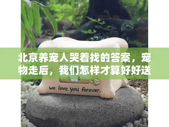 北京养宠人哭着找的答案，宠物走后，我们怎样才算好好送它一程？
