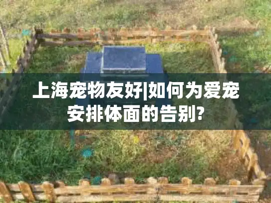 上海宠物友好|如何为爱宠安排体面的告别?