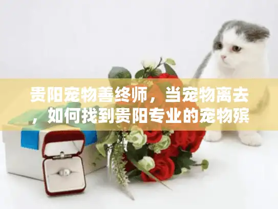 贵阳宠物善终师，当宠物离去，如何找到贵阳专业的宠物殡葬服务？