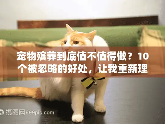 宠物殡葬到底值不值得做？10个被忽略的好处，让我重新理解「好好说再见」