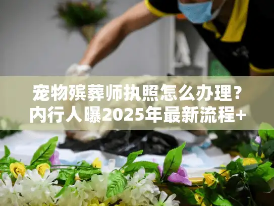 宠物殡葬师执照怎么办理？内行人曝2025年最新流程+隐藏门槛
