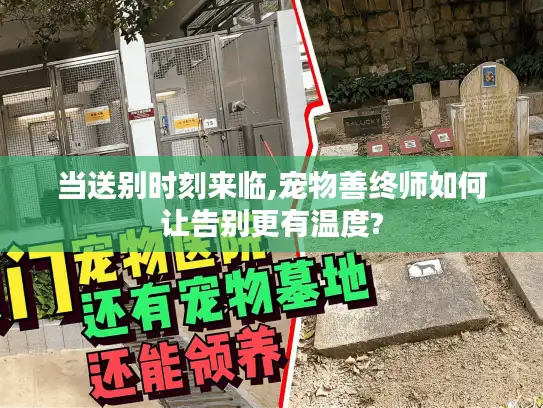 当送别时刻来临,宠物善终师如何让告别更有温度?