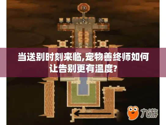 当送别时刻来临,宠物善终师如何让告别更有温度?