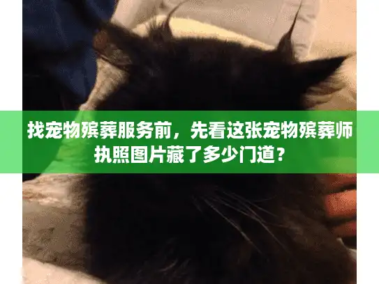 找宠物殡葬服务前，先看这张宠物殡葬师执照图片藏了多少门道？