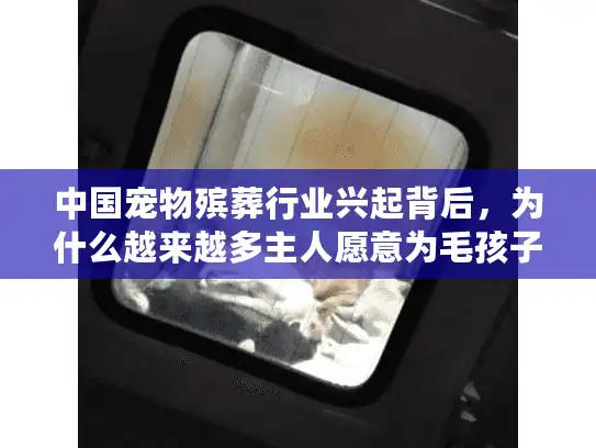 中国宠物殡葬行业兴起背后，为什么越来越多主人愿意为毛孩子体面告别？
