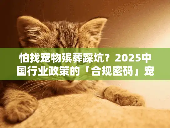 怕找宠物殡葬踩坑？2025中国行业政策的「合规密码」宠主必须读懂