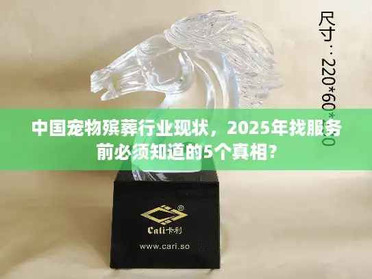 中国宠物殡葬行业现状，2025年找服务前必须知道的5个真相？