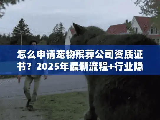 怎么申请宠物殡葬公司资质证书？2025年最新流程+行业隐藏门槛