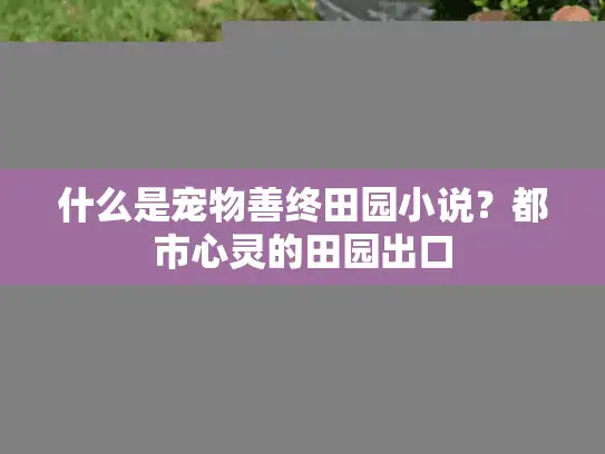 什么是宠物善终田园小说？都市心灵的田园出口