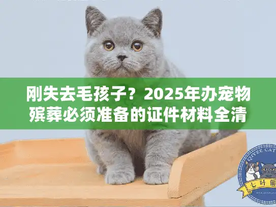 刚失去毛孩子？2025年办宠物殡葬必须准备的证件材料全清单