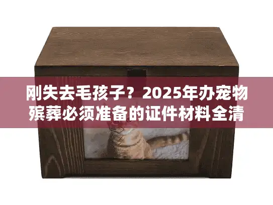 刚失去毛孩子？2025年办宠物殡葬必须准备的证件材料全清单
