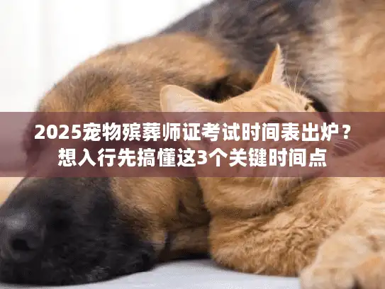 2025宠物殡葬师证考试时间表出炉？想入行先搞懂这3个关键时间点