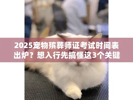 2025宠物殡葬师证考试时间表出炉？想入行先搞懂这3个关键时间点