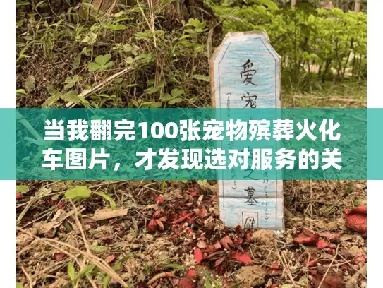 当我翻完100张宠物殡葬火化车图片，才发现选对服务的关键从不是价格
