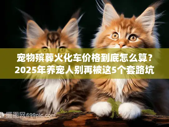宠物殡葬火化车价格到底怎么算？2025年养宠人别再被这5个套路坑