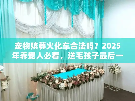 宠物殡葬火化车合法吗？2025年养宠人必看，送毛孩子最后一程的车，别踩这些雷
