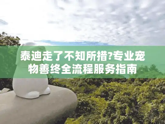 泰迪走了不知所措?专业宠物善终全流程服务指南