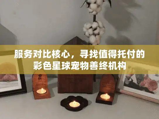 服务对比核心，寻找值得托付的彩色星球宠物善终机构