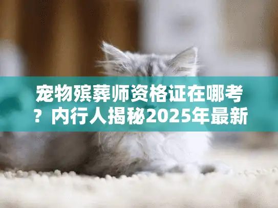 宠物殡葬师资格证在哪考？内行人揭秘2025年最新报考门道
