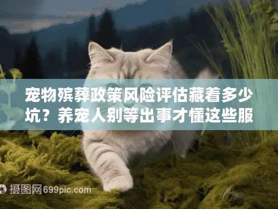 宠物殡葬政策风险评估藏着多少坑？养宠人别等出事才懂这些服务红线