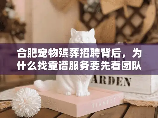合肥宠物殡葬招聘背后，为什么找靠谱服务要先看团队？