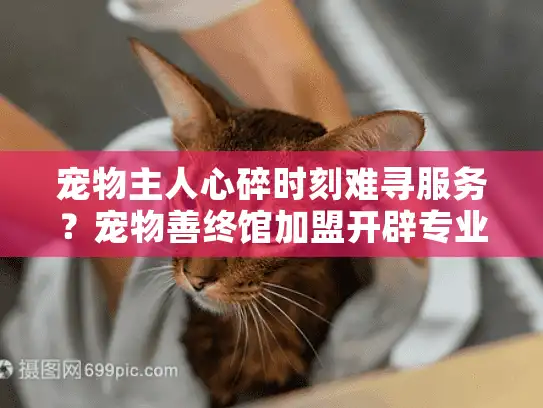 宠物主人心碎时刻难寻服务？宠物善终馆加盟开辟专业事业新天地