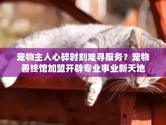 宠物主人心碎时刻难寻服务？宠物善终馆加盟开辟专业事业新天地