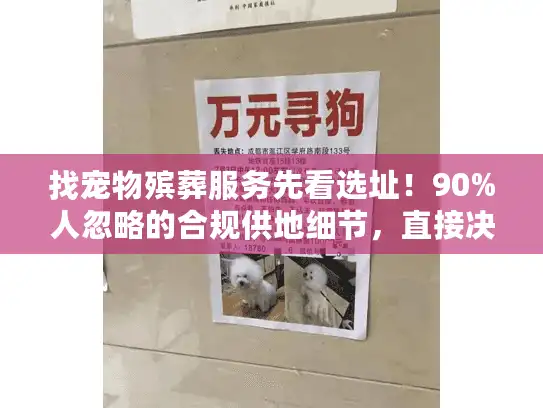 找宠物殡葬服务先看选址！90%人忽略的合规供地细节，直接决定爱宠最后一程是否安心