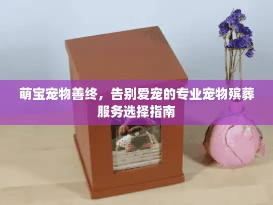萌宝宠物善终，告别爱宠的专业宠物殡葬服务选择指南