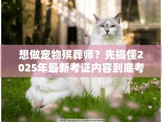 想做宠物殡葬师？先搞懂2025年最新考证内容到底考什么！
