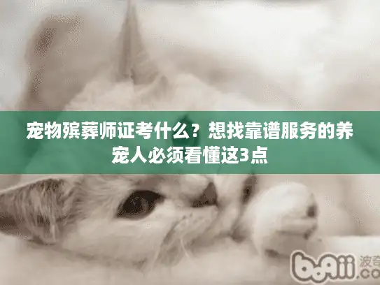 宠物殡葬师证考什么？想找靠谱服务的养宠人必须看懂这3点