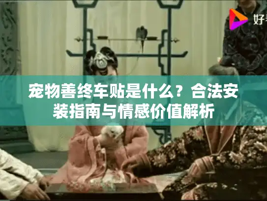宠物善终车贴是什么？合法安装指南与情感价值解析