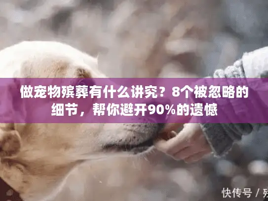 做宠物殡葬有什么讲究？8个被忽略的细节，帮你避开90%的遗憾