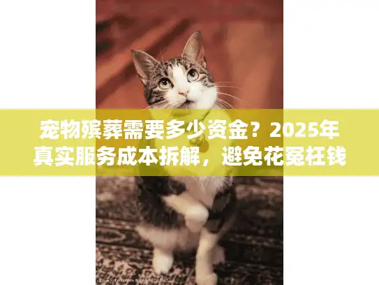 宠物殡葬需要多少资金？2025年真实服务成本拆解，避免花冤枉钱