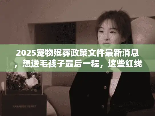 2025宠物殡葬政策文件最新消息，想送毛孩子最后一程，这些红线你必须先搞懂！