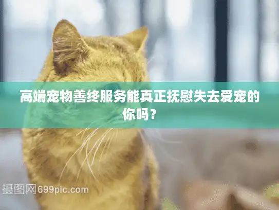 高端宠物善终服务能真正抚慰失去爱宠的你吗？