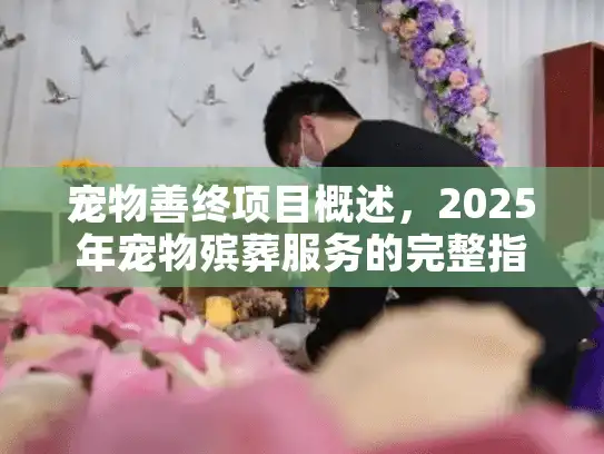宠物善终项目概述，2025年宠物殡葬服务的完整指南