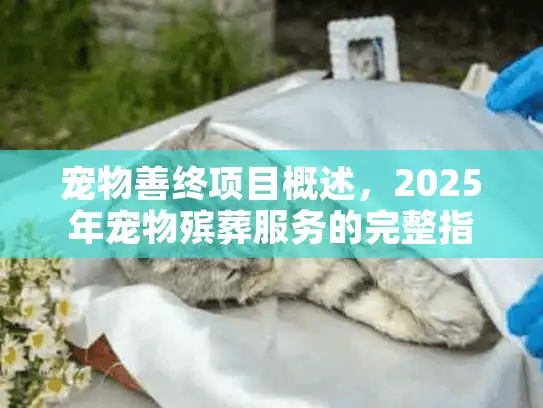 宠物善终项目概述，2025年宠物殡葬服务的完整指南