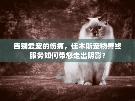 告别爱宠的伤痛，佳木斯宠物善终服务如何带您走出阴影？