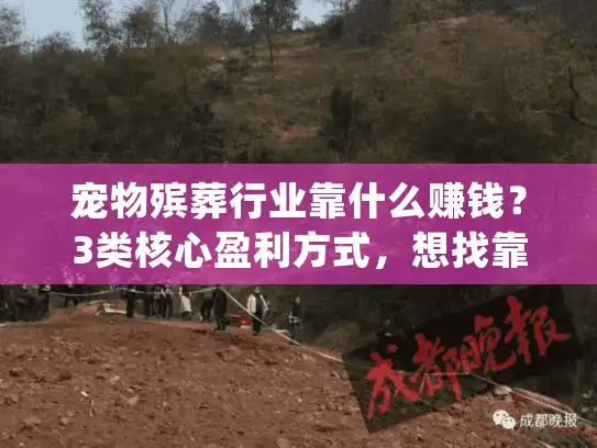 宠物殡葬行业靠什么赚钱？3类核心盈利方式，想找靠谱服务得先懂