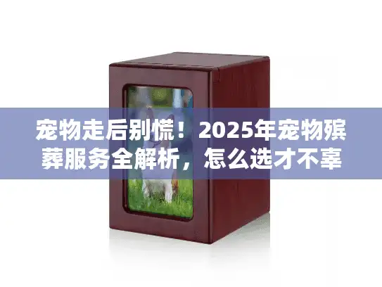 宠物走后别慌！2025年宠物殡葬服务全解析，怎么选才不辜负它最后一程？