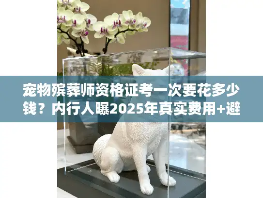 宠物殡葬师资格证考一次要花多少钱？内行人曝2025年真实费用+避坑指南