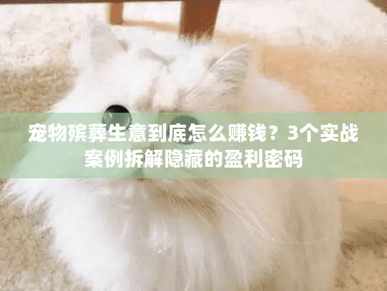 宠物殡葬生意到底怎么赚钱？3个实战案例拆解隐藏的盈利密码