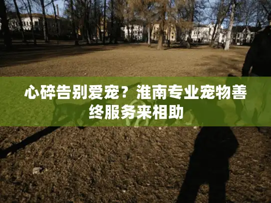 心碎告别爱宠？淮南专业宠物善终服务来相助