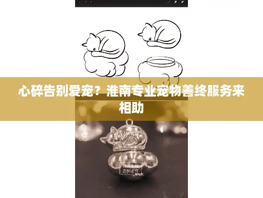 心碎告别爱宠？淮南专业宠物善终服务来相助