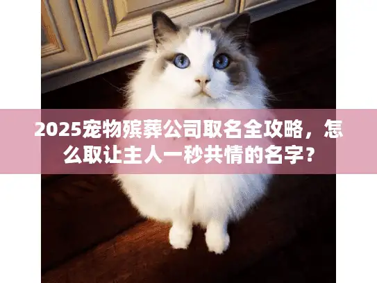 2025宠物殡葬公司取名全攻略，怎么取让主人一秒共情的名字？