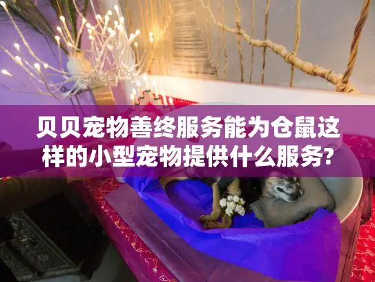 贝贝宠物善终服务能为仓鼠这样的小型宠物提供什么服务?