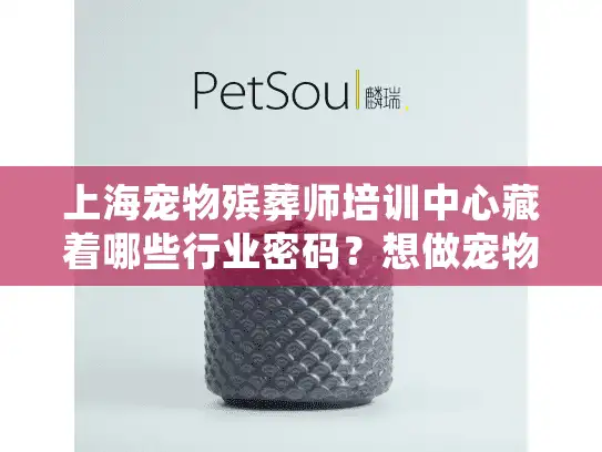 上海宠物殡葬师培训中心藏着哪些行业密码？想做宠物殡葬先看这3个真相