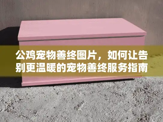 公鸡宠物善终图片，如何让告别更温暖的宠物善终服务指南?
